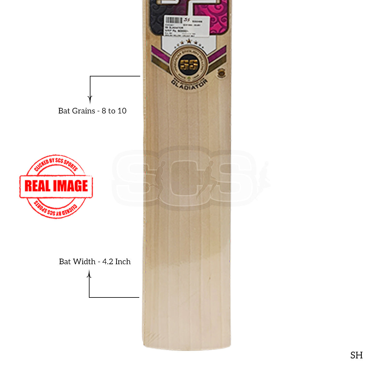 SS Gladiator English Willow Cricket Bat