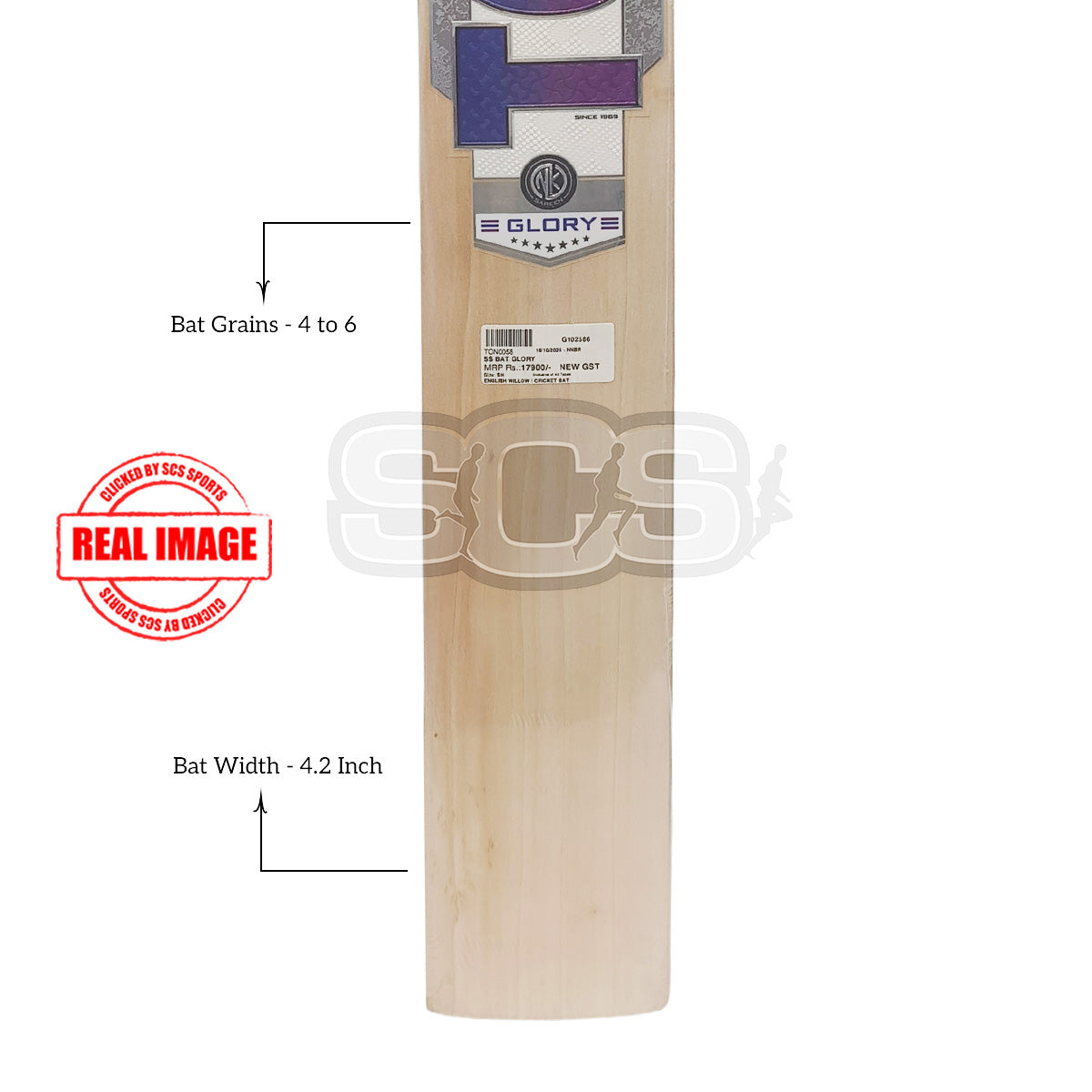SS Ton Glory English Willow Cricket Bat