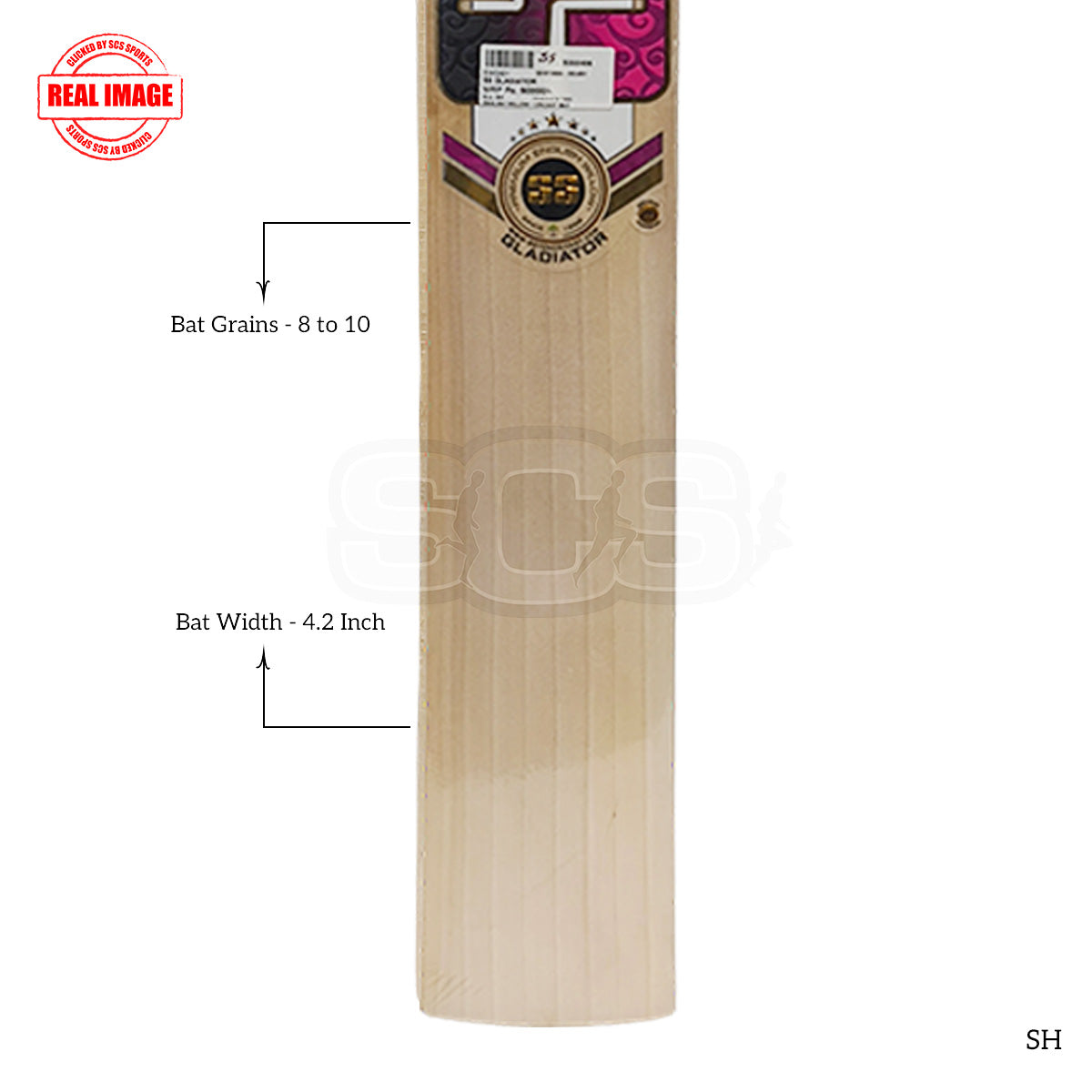 SS Gladiator English Willow Cricket Bat