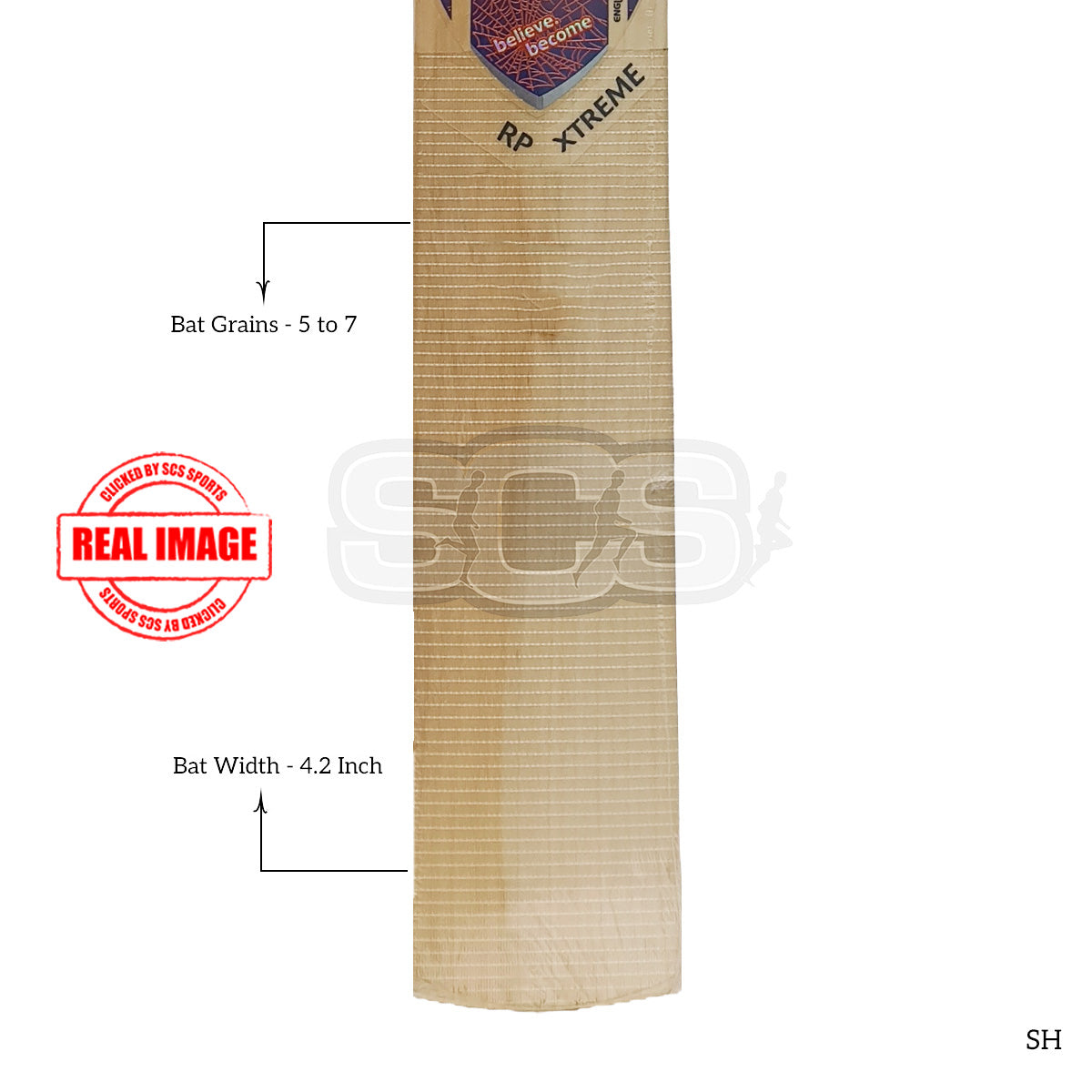 SG RP Xtreme English Willow Cricket Bat