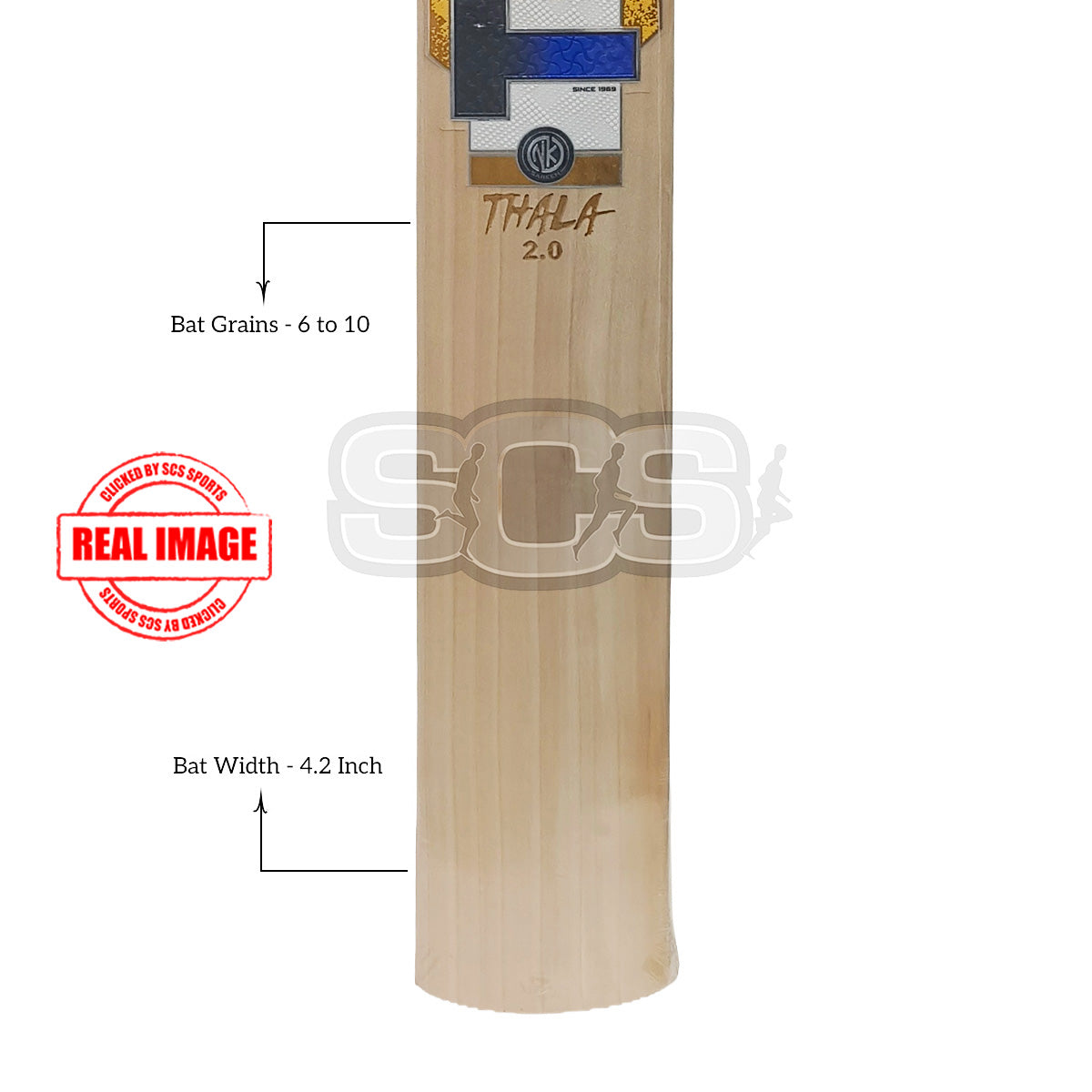 SS Thalla 2.0 English Willow Cricket Bat