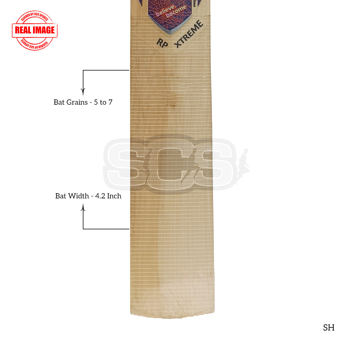 SG RP Xtreme English Willow Cricket Bat