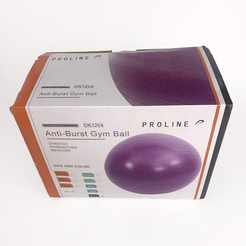 Load image into Gallery viewer, Proline Antiburst Gym Ball
