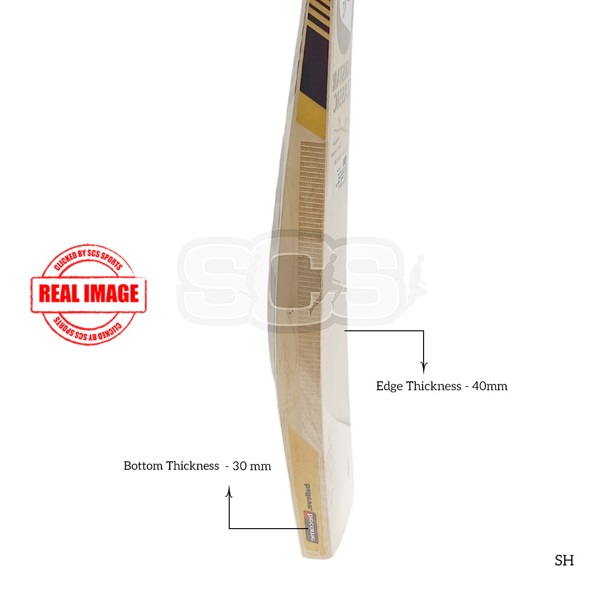 SG Maxstar Classic English Willow Cricket Bat