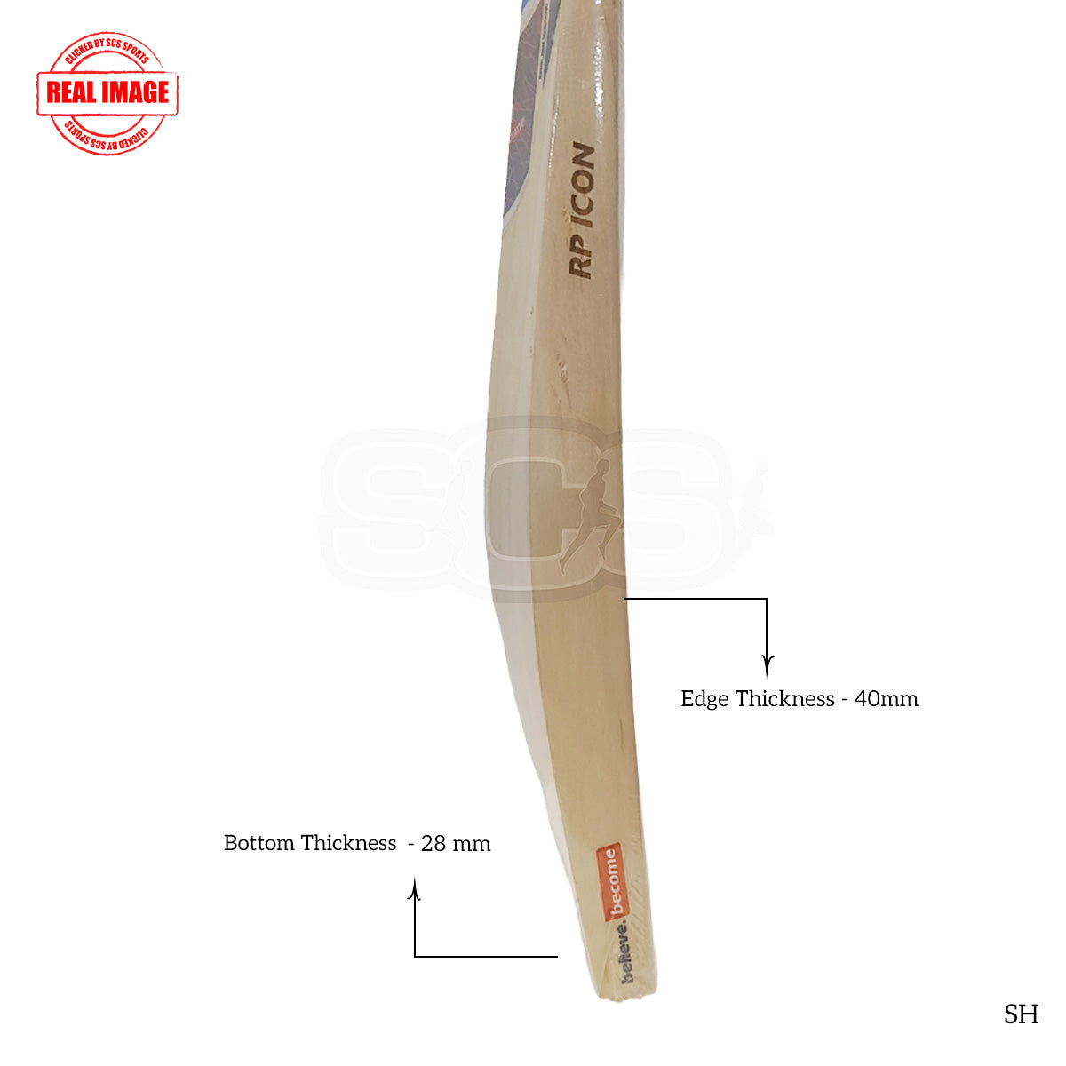 SG RP Icon English Willow Cricket Bat