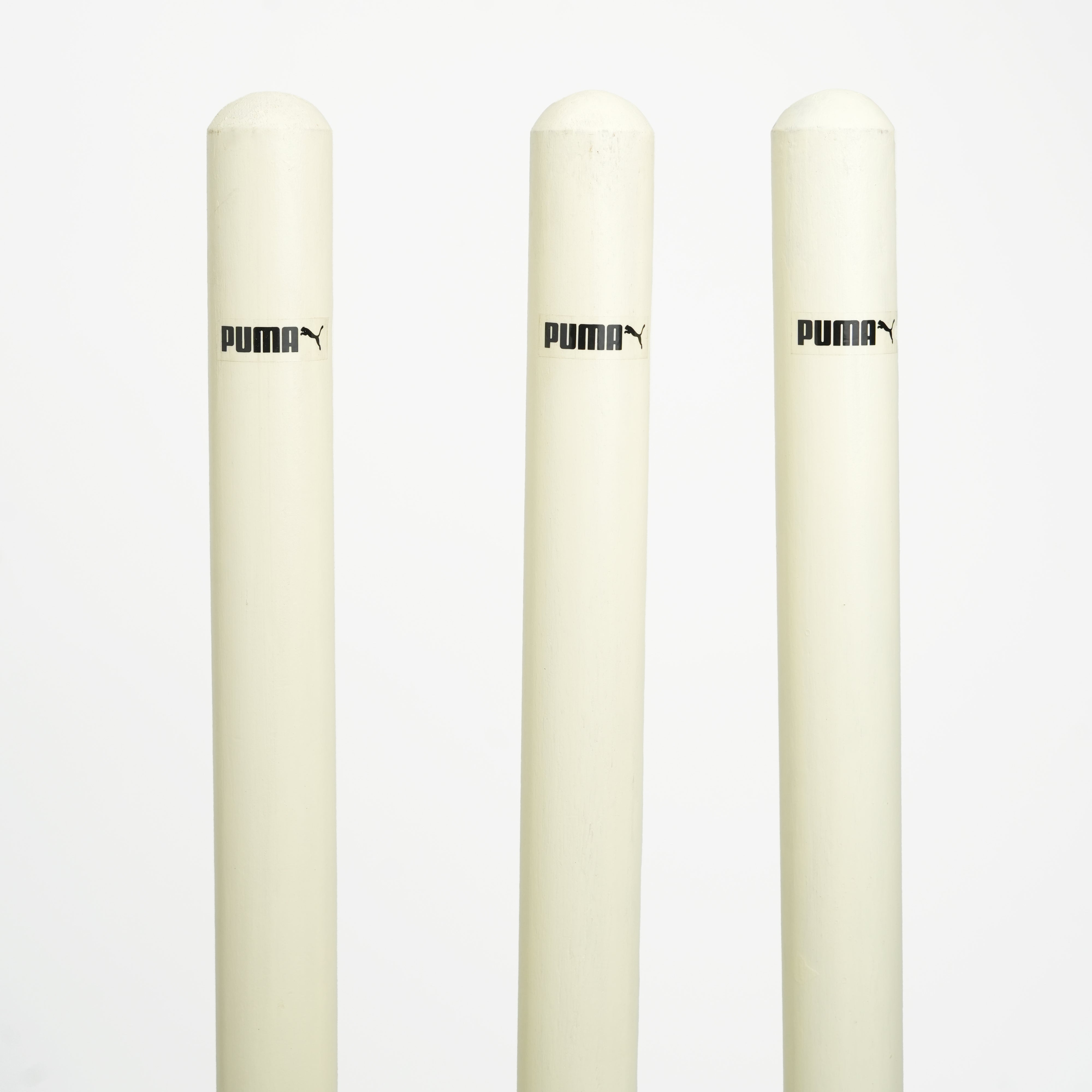 Puma Future Sb Cricket Stump (BOGO) (Plastic)