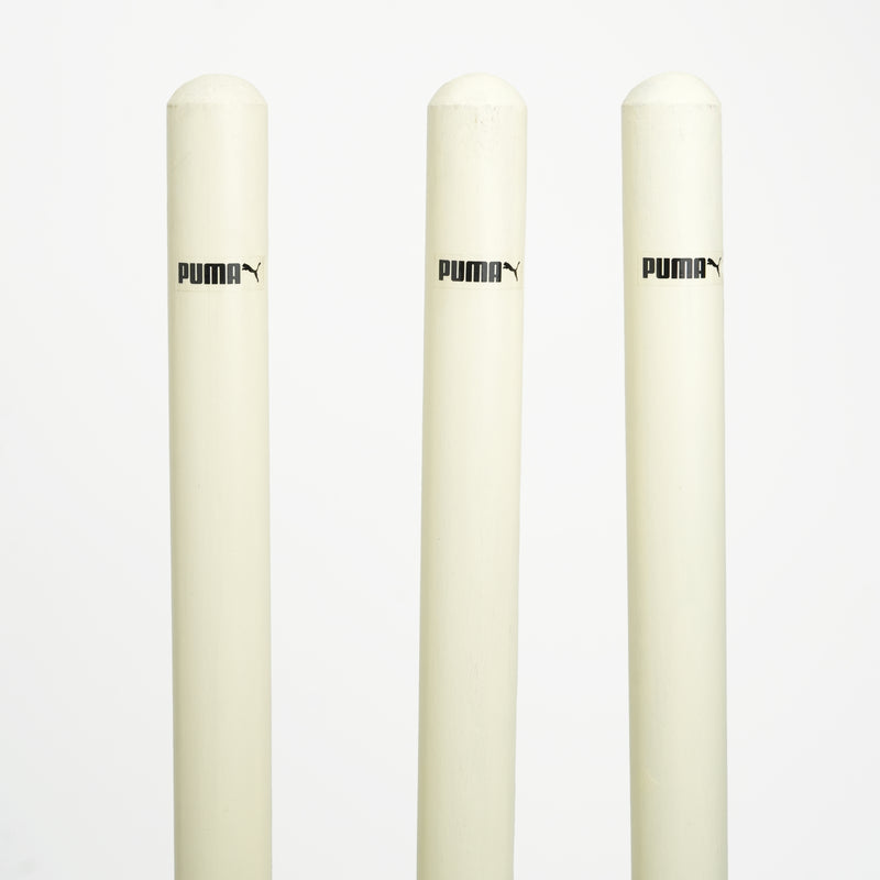 Load image into Gallery viewer, Puma Future Sb Cricket Stump (BOGO)
