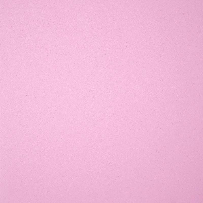 Load image into Gallery viewer, Puls8 Yoga Brick
