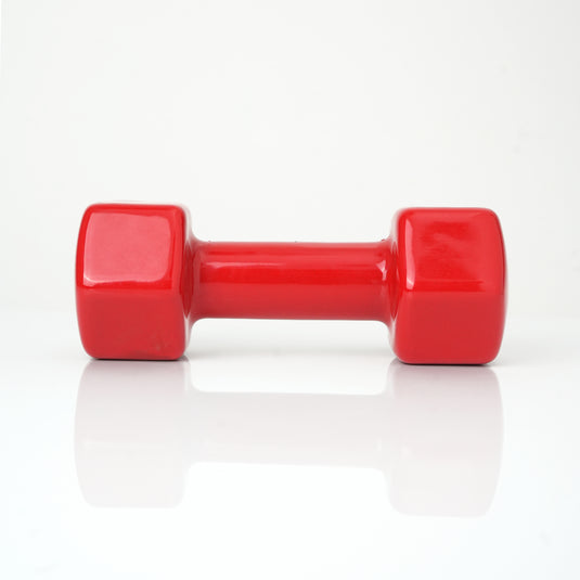 Puls8 Vinyl Hex Dumbbell (Single Dumbbell)