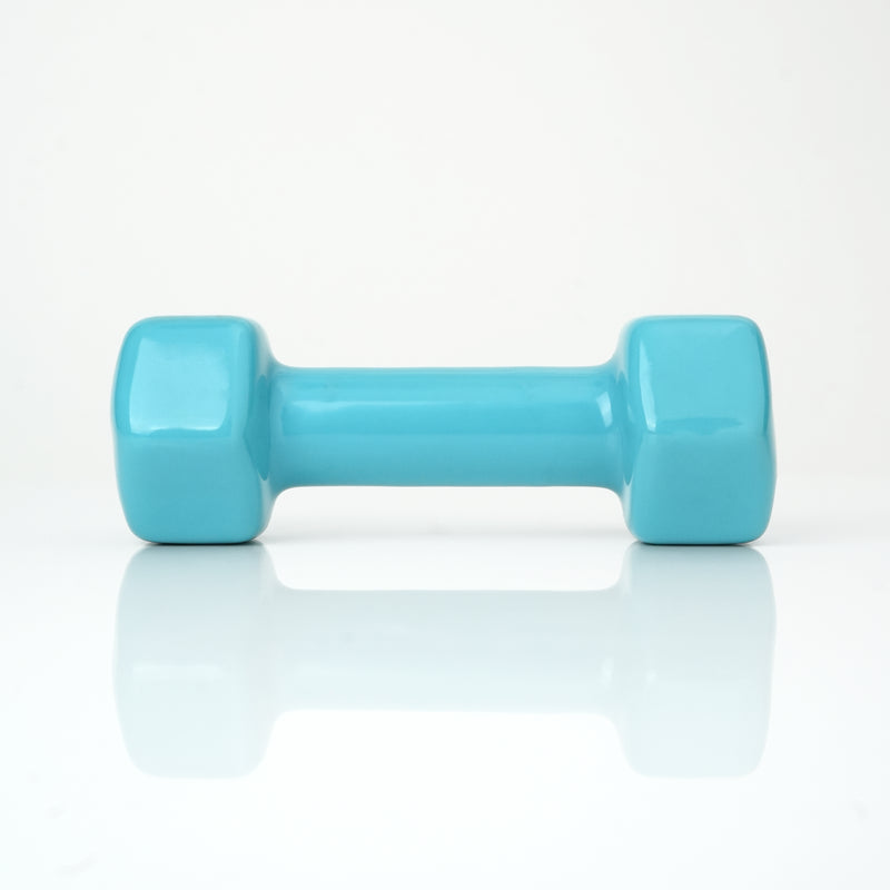 Load image into Gallery viewer, Puls8 Vinyl Hex Dumbbell (Single Dumbbell)
