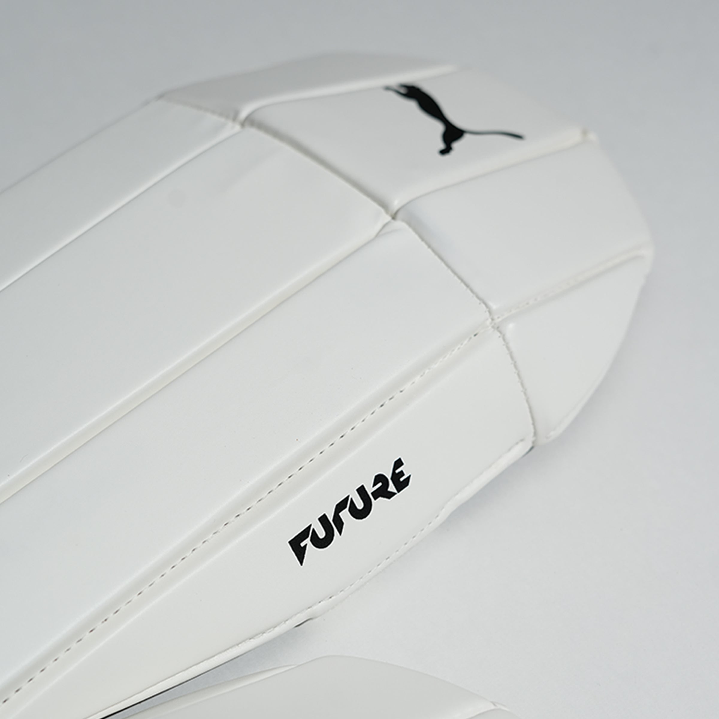 Puma Future 3 Keeping Pad (BOGO)