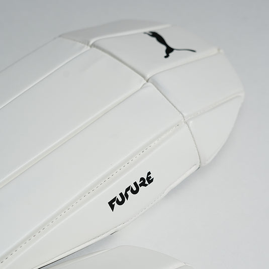 Puma Future 3 Keeping Pad (BOGO)