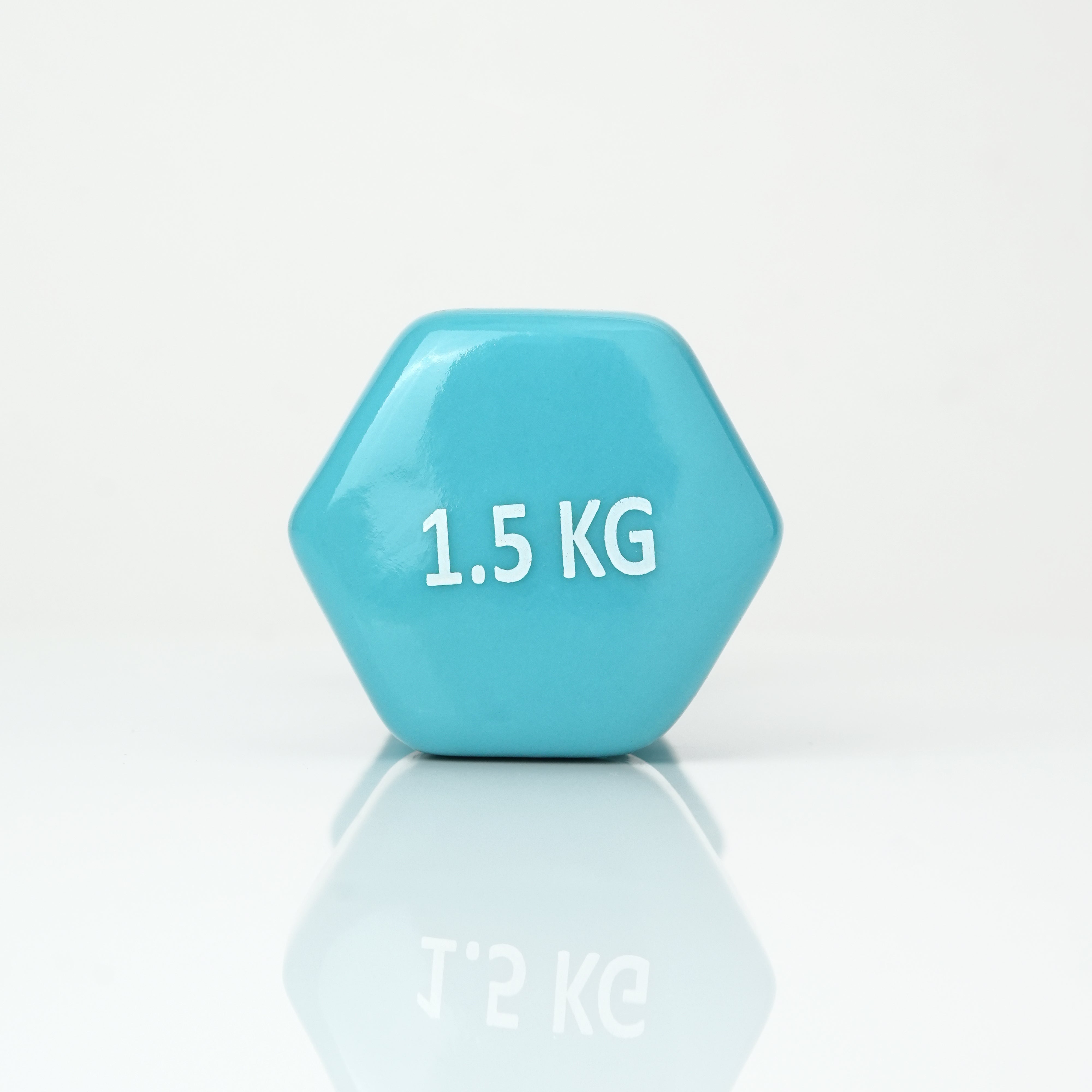 Puls8 Vinyl Hex Dumbbell (Single Dumbbell)