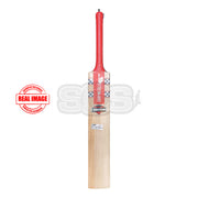 Gray-Nicolls GNX 1400 Ventus English Willow Cricket Bat
