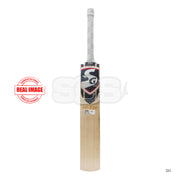 SG HP T-20 English Willow Cricket Bat