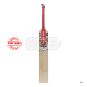 Gray-Nicolls GN4 Astro English Willow Cricket Bat