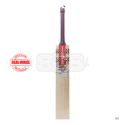 Gray Nicolls Gold Edition 4.0 English Willow Cricket Bat