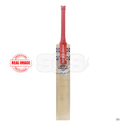Gray-Nicolls GN3 Astro English Willow Cricket Bat