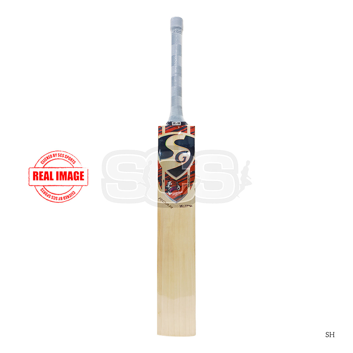 SG Roar English Willow Cricket Bat