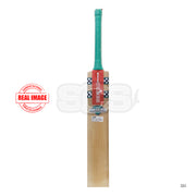 Gray-Nicolls GN5 GEM  English Willow Cricket Bat