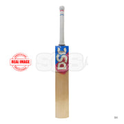DSC Intense Shoc English Willow Cricket Bat