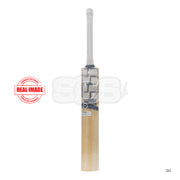 SS Finn Allen English Willow Cricket Bat