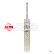 SF Rebel English Willow Cricket Bat