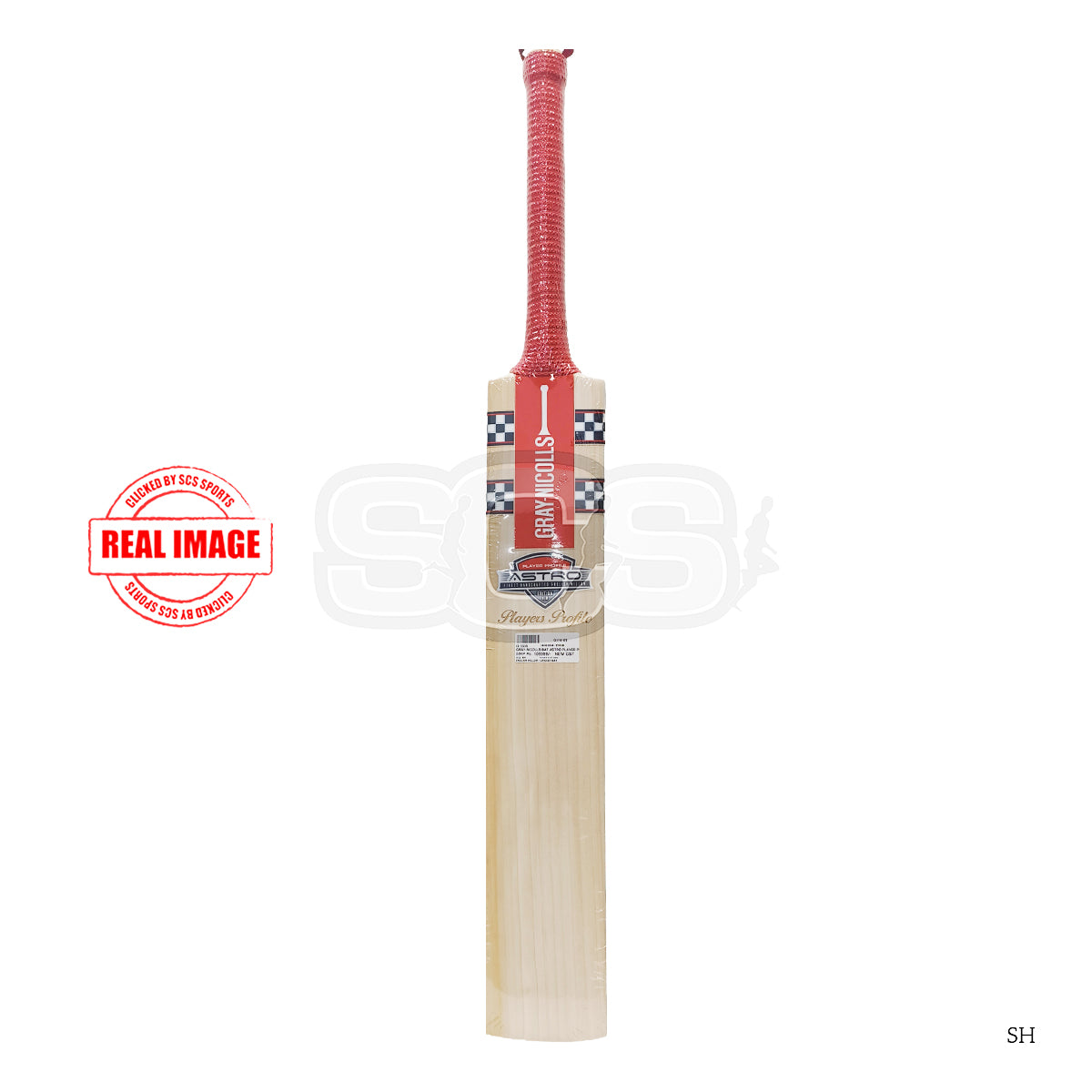 Gray Nicolls Astro Player Profile English Willow Cricket Bat