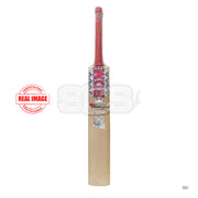 BDM Titanium English Willow Cricket Bat