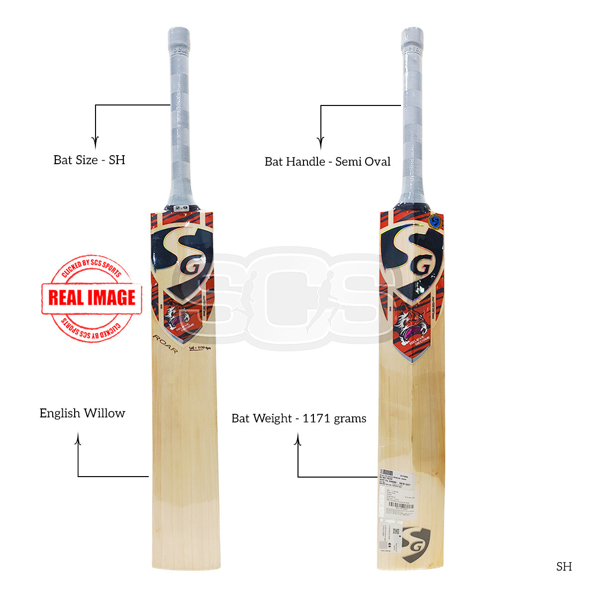 SG Roar English Willow Cricket Bat