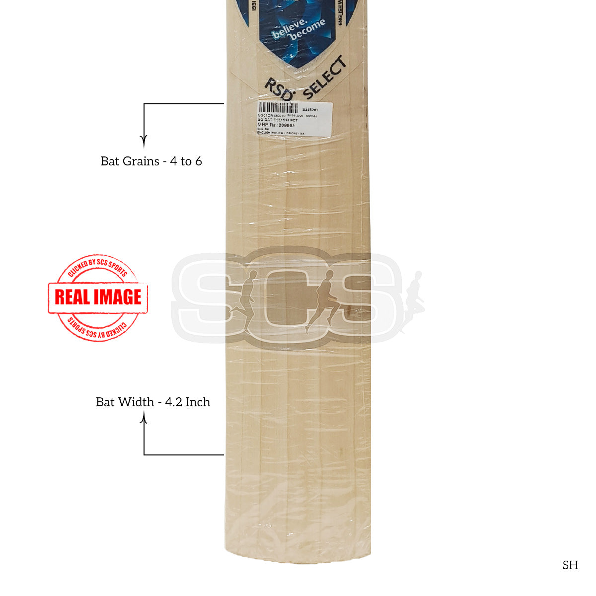 SG RSD Select English Willow Cricket Bat