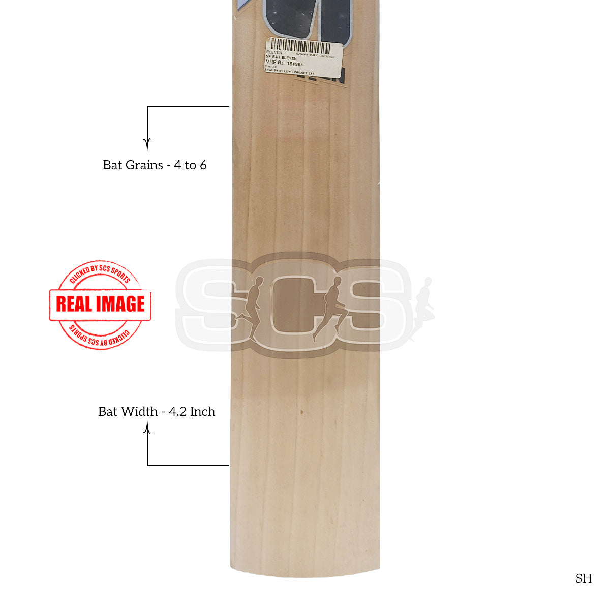 SF Eleven English Willow 404 Cricket Bat