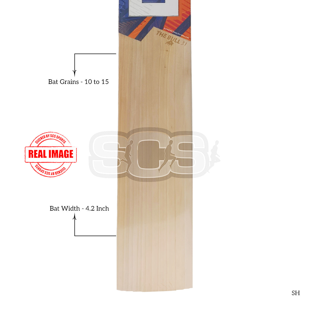 DSC Krunch Bull 31 Player Edition English Willow Cricket Bat