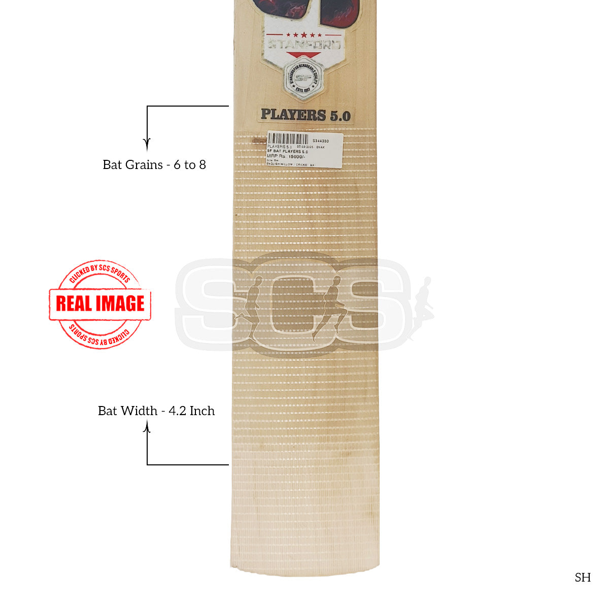 SF Players 5.0 English Willow Cricket Bat