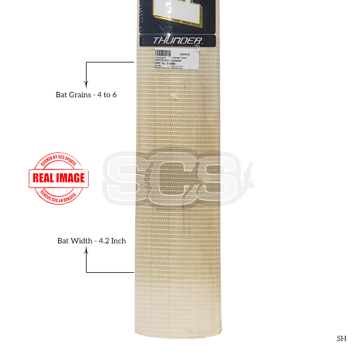 Protos Thunder English Willow Cricket Bat