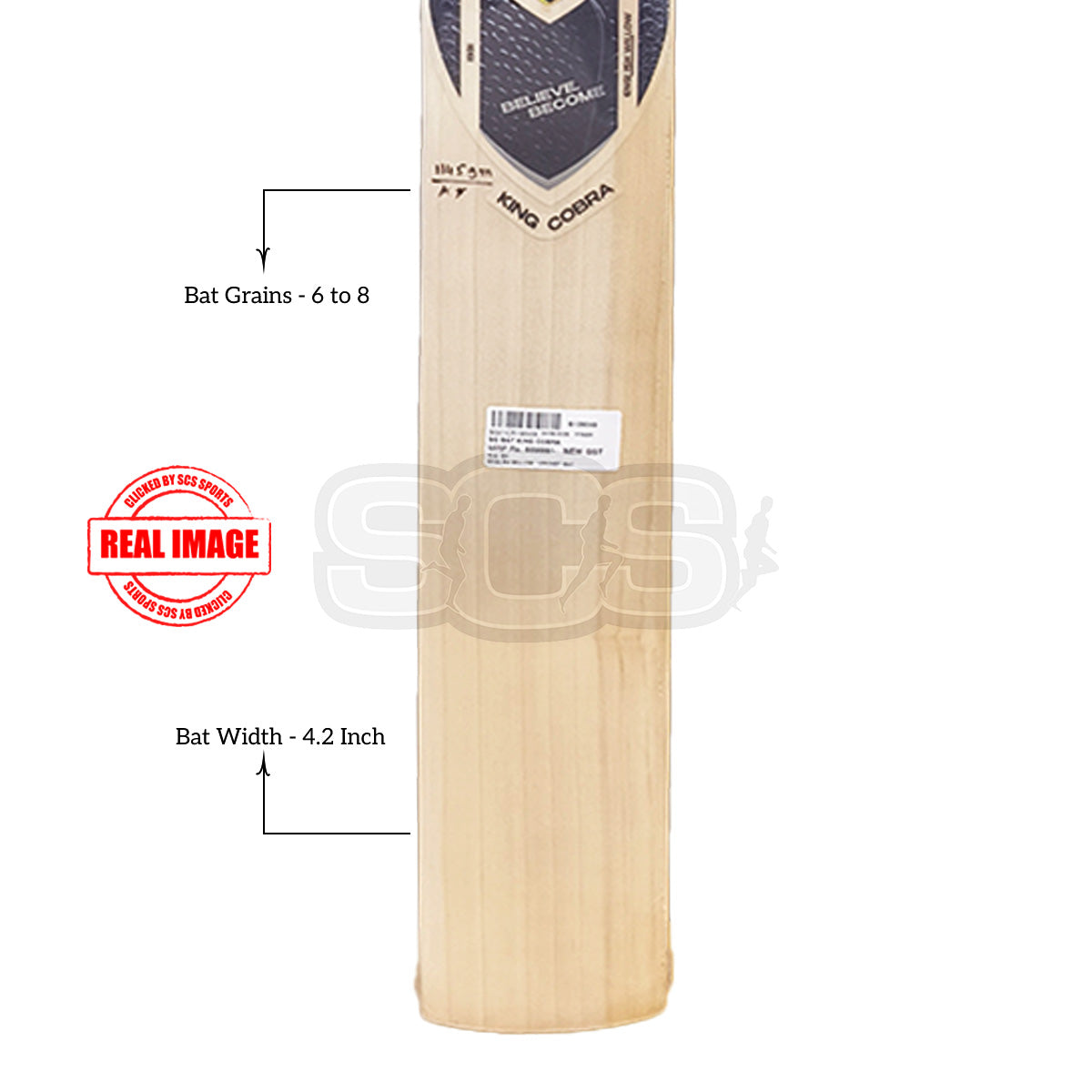 SG King Cobra English Willow Cricket Bat (SH)