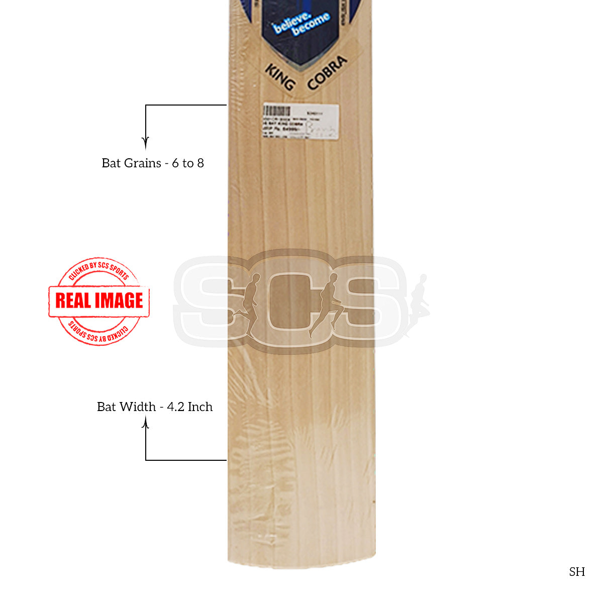 SG King Cobra English Willow Cricket Bat