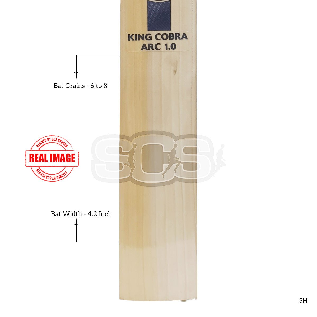 SG King Cobra Arc 1.0 English Willow Cricket Bat