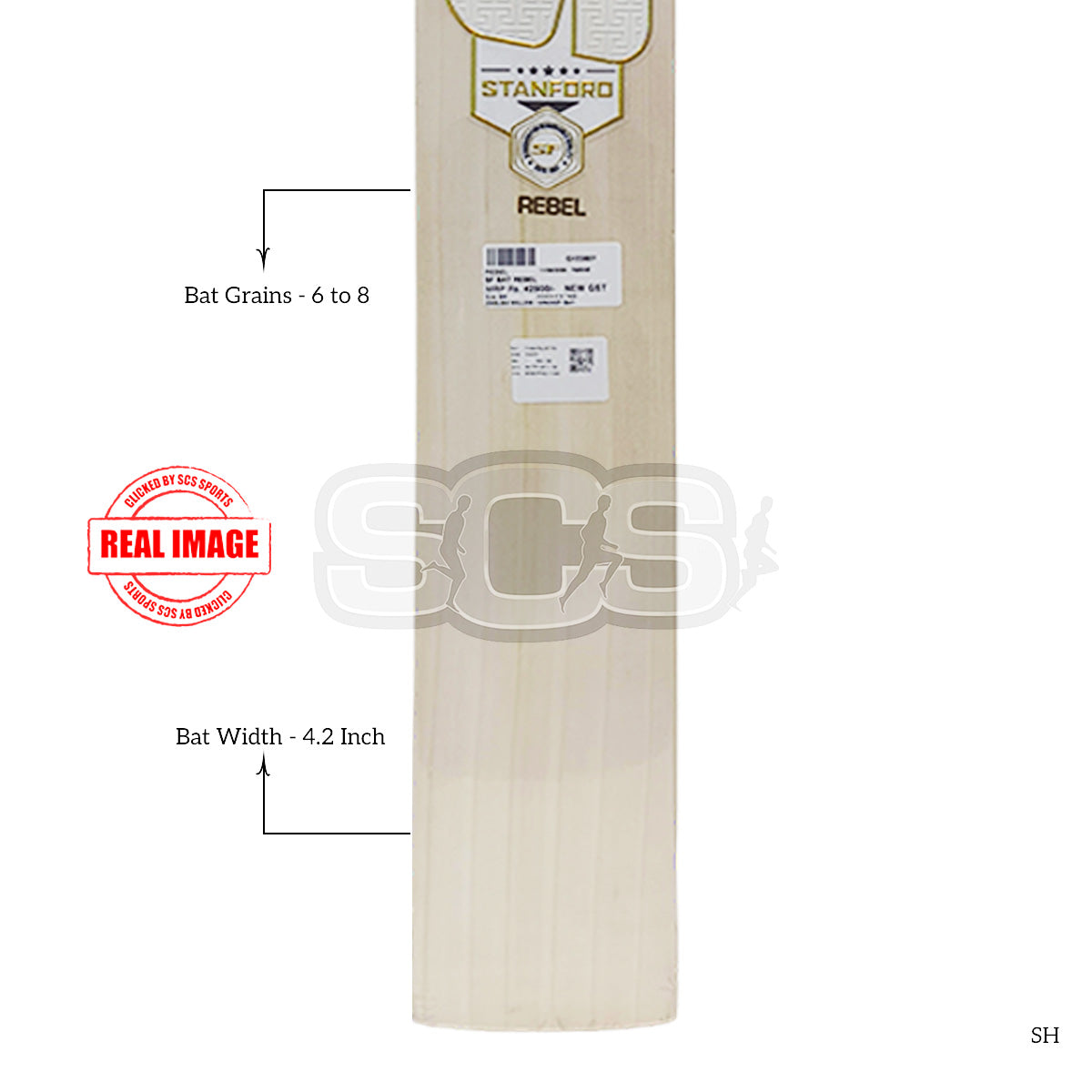 SF Rebel English Willow Cricket Bat