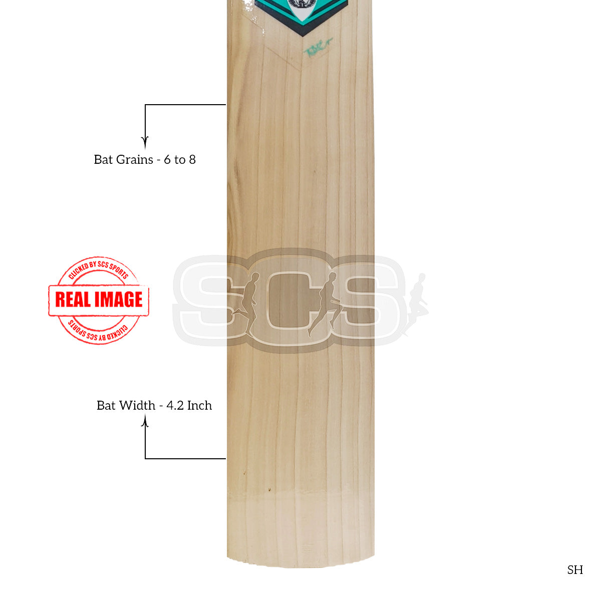The Bat Engineer Pegasus English Willow Cricket Bat
