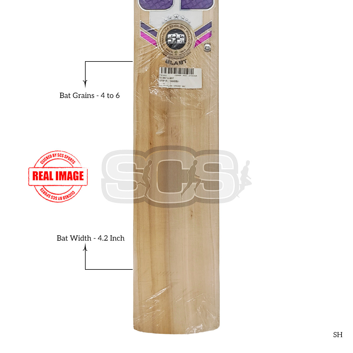SS Blast English Willow Cricket Bat