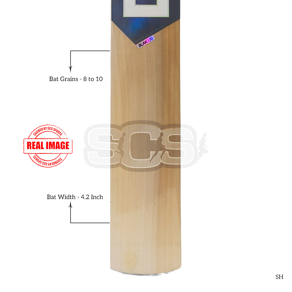 DSC Blak 330 English Willow Cicket Bat
