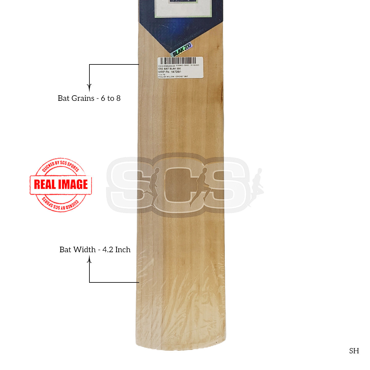 DSC Black 200 Cricket Bat