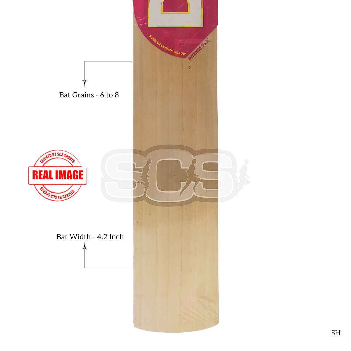 DSC Intense Shoc English Willow Cricket Bat