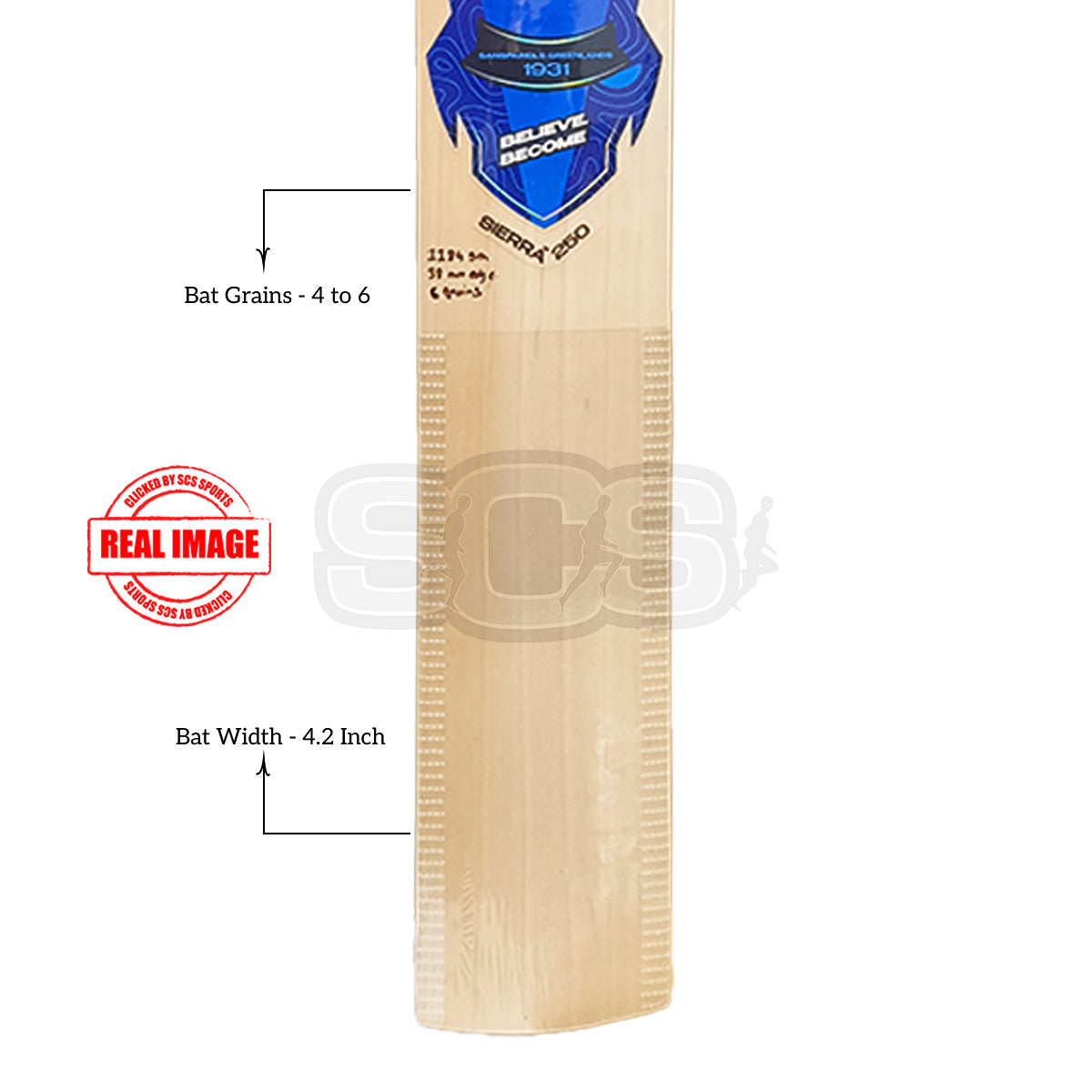 SG Sierra 250 English Willow Cricket Bat