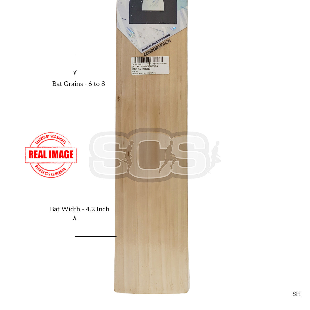 DSC Condor Motion English Willow Cricket Bat