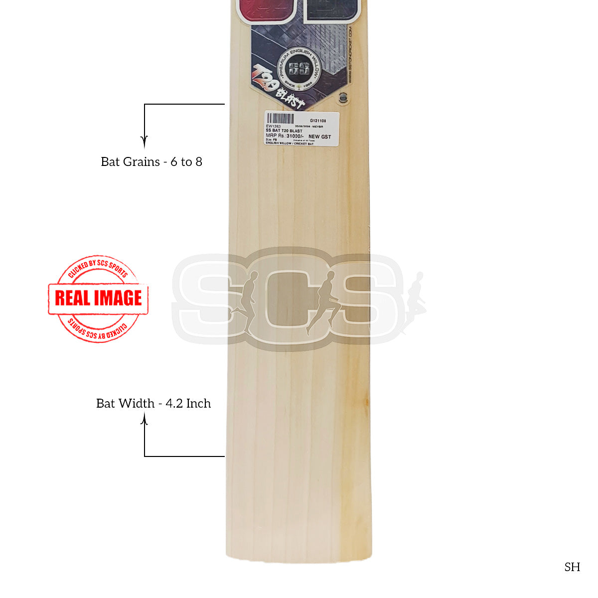 SS T20 Blast English Willow Cricket Bat
