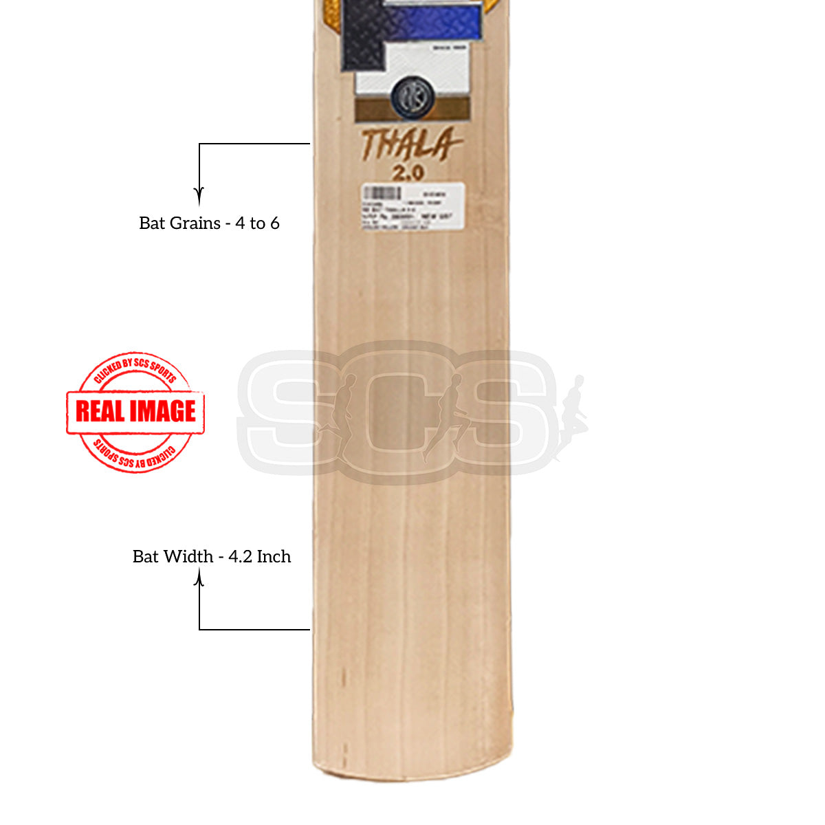 SS Thala 2.0 English Willow Cricket Bat