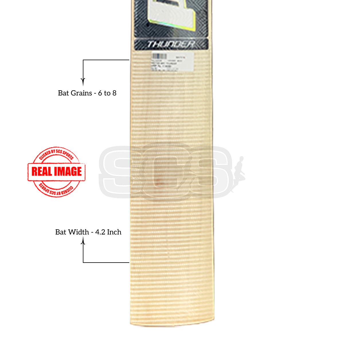 Protos Thunder English Willow Cricket Bat