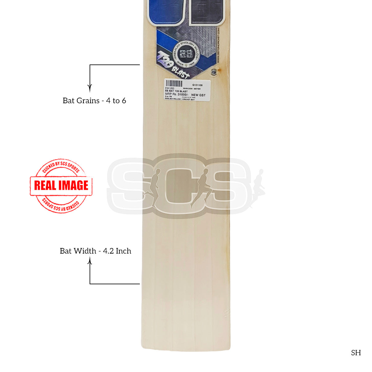 SS T20 Blast English Willow Cricket Bat